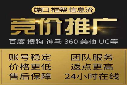 抖音信息流广告的投放策略与成功案例分析
